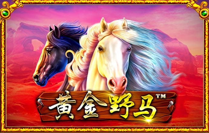 港澳宝典111333cσm查询179期